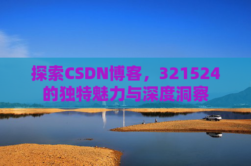探索CSDN博客，321524的独特魅力与深度洞察